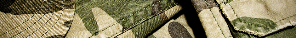 SISTEMAS DE DEFENSA SISTEMAS DE DEFENSA